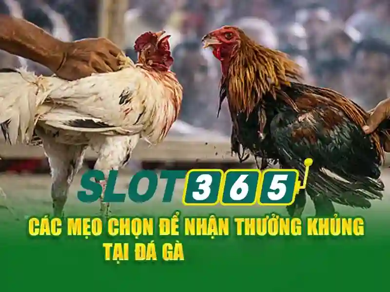 slot365 login link alternatif – Tổng quan về chủ đề và giá trị cốt lõi