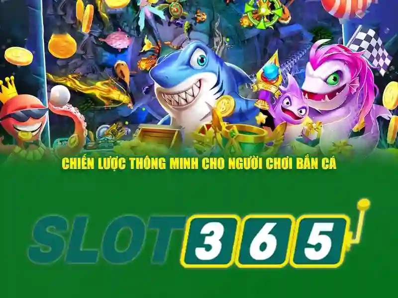 Thị trường và trải nghiệm người dùng