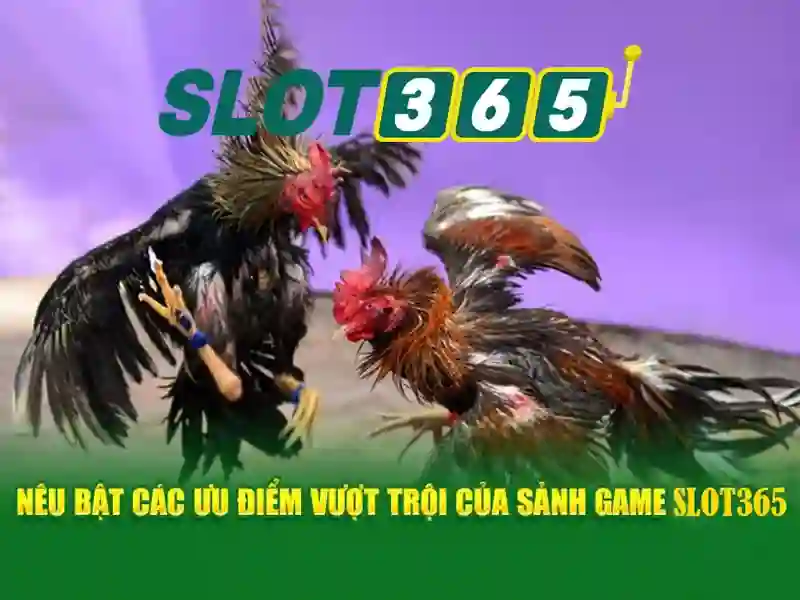 đăng nhập Slot365 – Sản phẩm và dịch vụ cốt lõi
