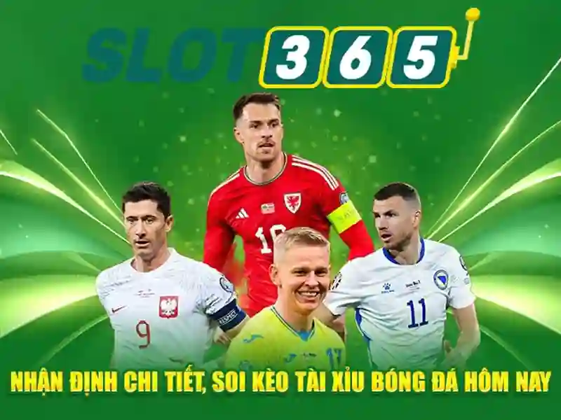 Giao diện người dùng và trải nghiệm