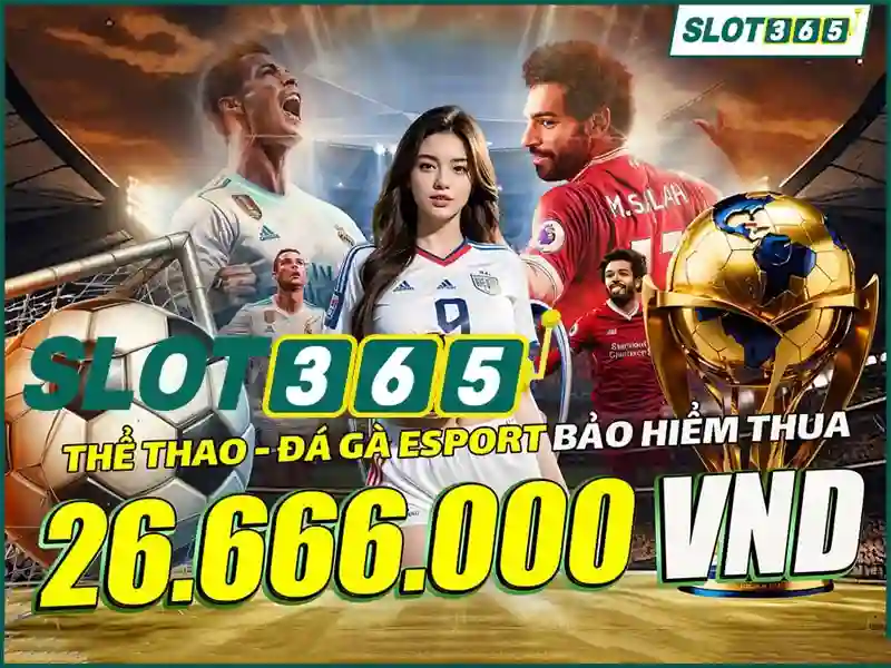 Slot365: Nền tảng cá cược trực tuyến
