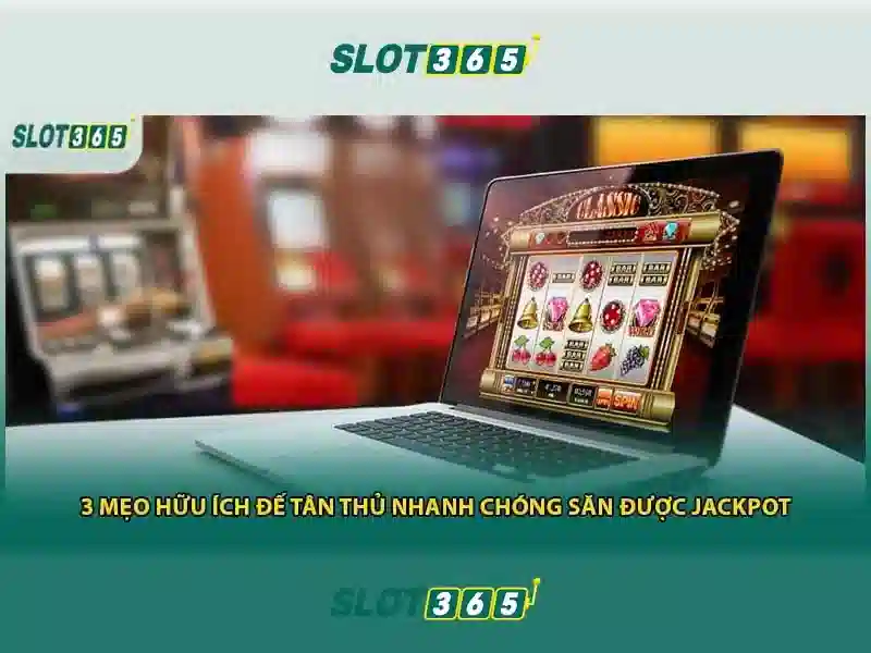 Cac san pham va dich vu tai Slot365