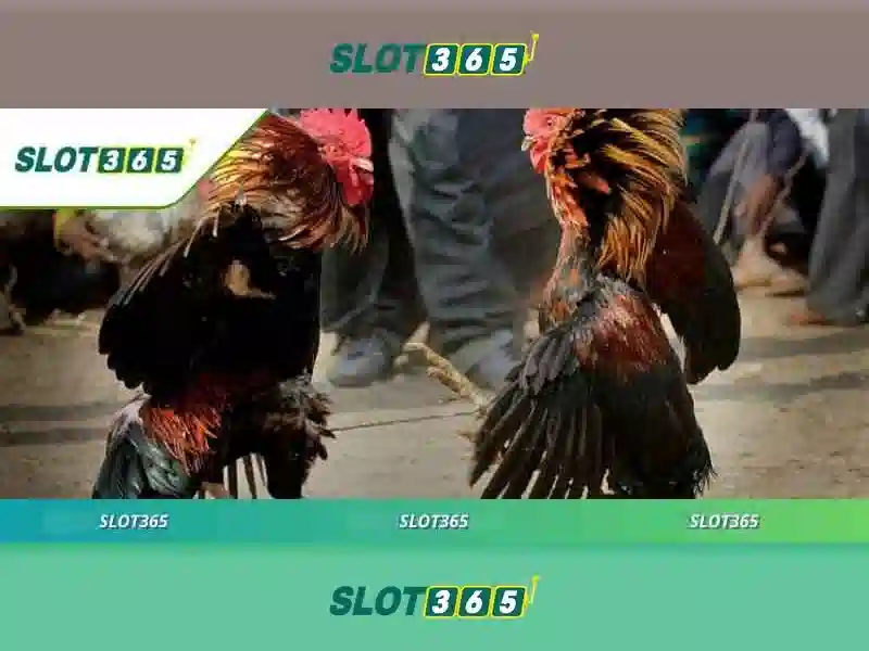 tải app slot365 - Trải nghiệm Slot365 an toàn và tiện ích