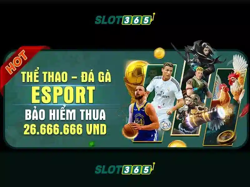 Slot365 là gì?