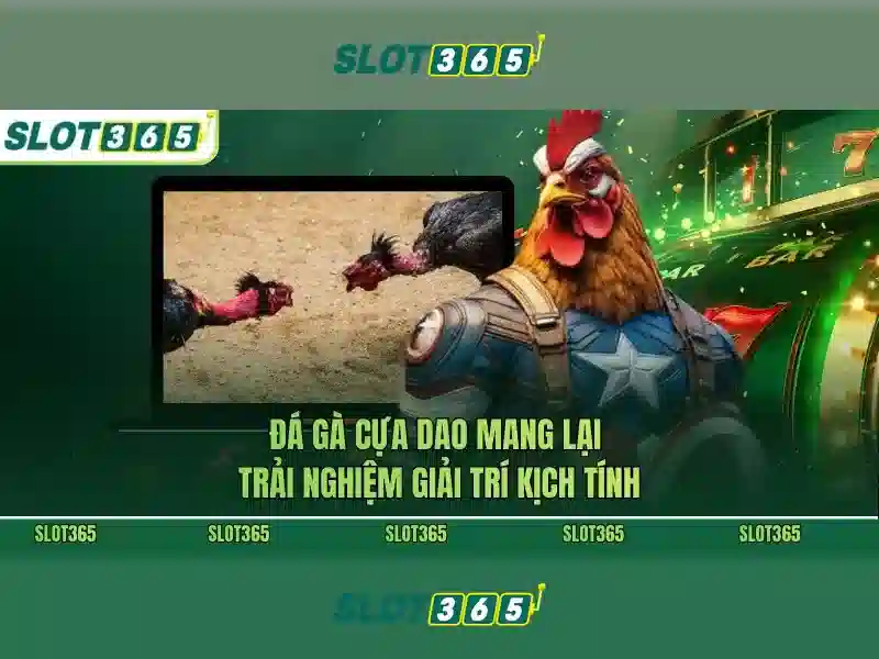 Slot365 – Tổng quan về nền tảng slot trực tuyến uy tín