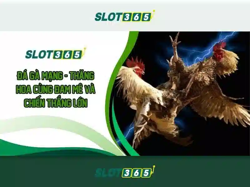 Slot365 - Trải nghiệm chơi slot trực tuyến tuyệt vời