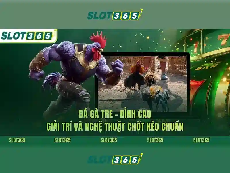 slot365. com – Định vị thương hiệu và trải nghiệm người dùng
