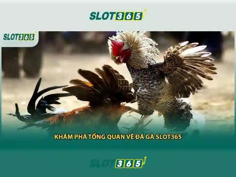 Đặc điểm nổi bật
