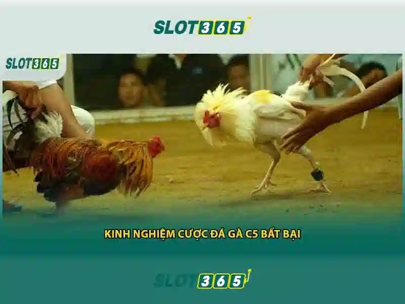 slot365 có lừa đảo không – Tổng quan chủ đề và Giá trị cốt lõi