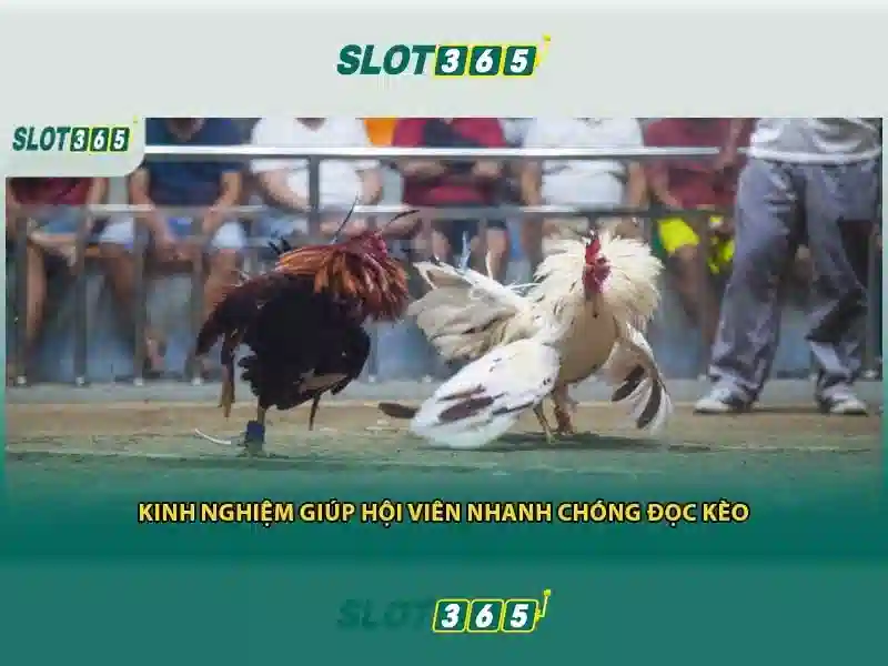Bảo mật và thanh toán