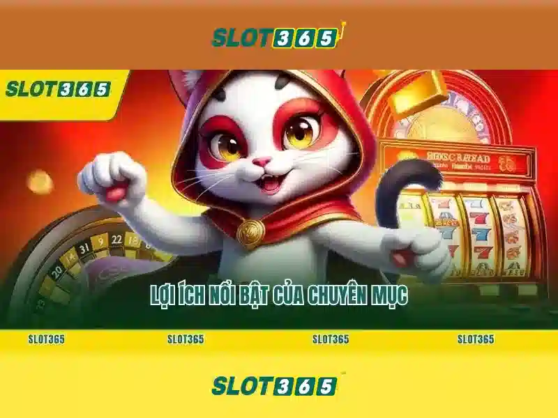 Các đặc điểm nổi bật của Slot365