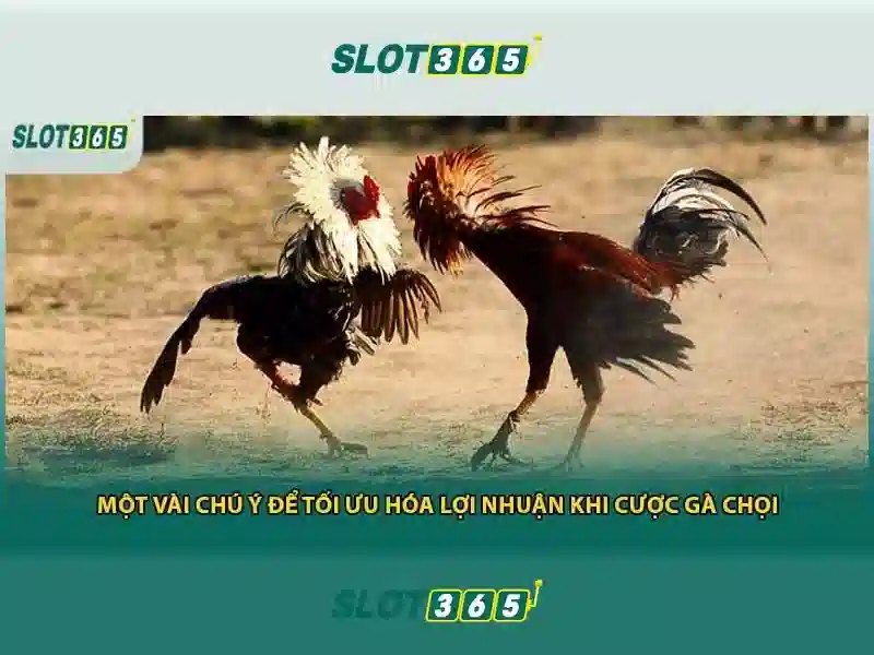 Slot365 la nha cai truc tuyen hang dau