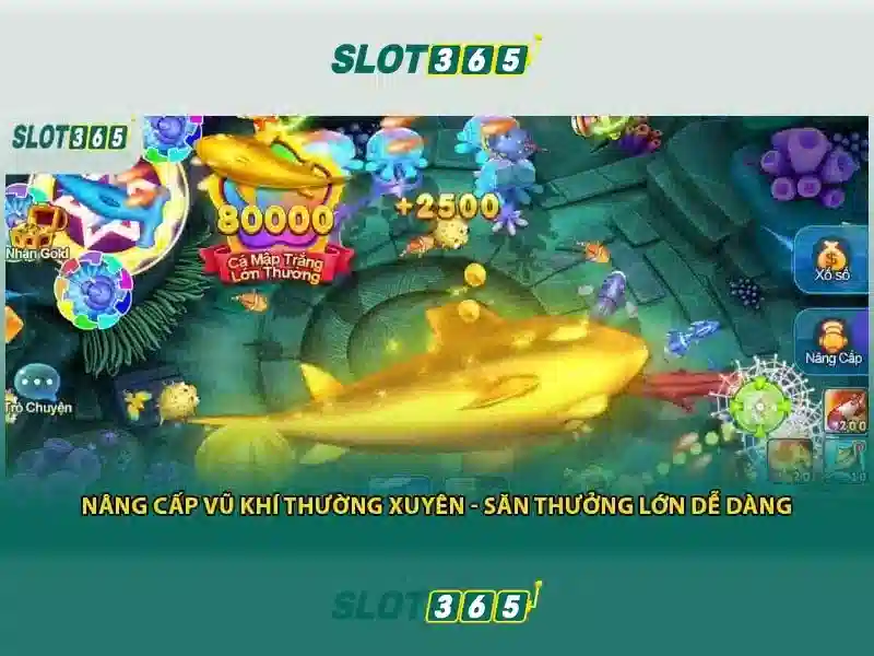 Sản phẩm và dịch vụ cốt lõi: ứng dụng thực tế của slot365.