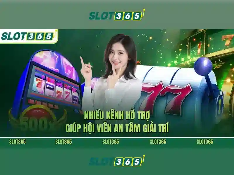 Trải nghiệm người dùng và giao diện