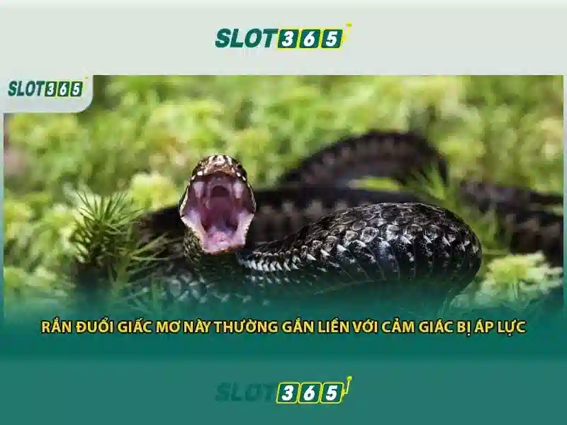 Slot365 – Trải nghiệm chơi slot trực tuyến đáng tin cậy