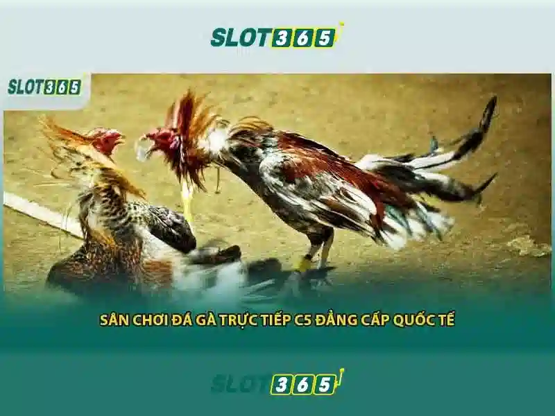 Hỗ trợ khách hàng và thanh toán linh hoạt