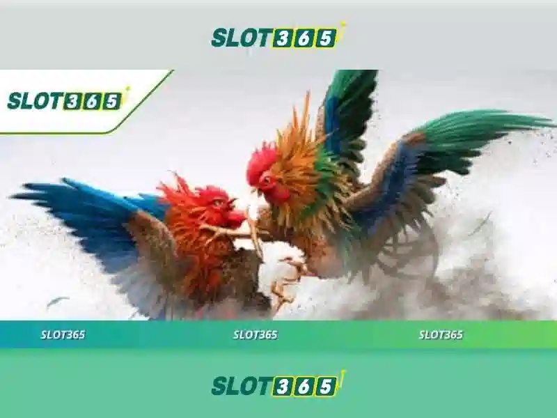 Slot365: Trải nghiệm slot trực tuyến hàng đầu