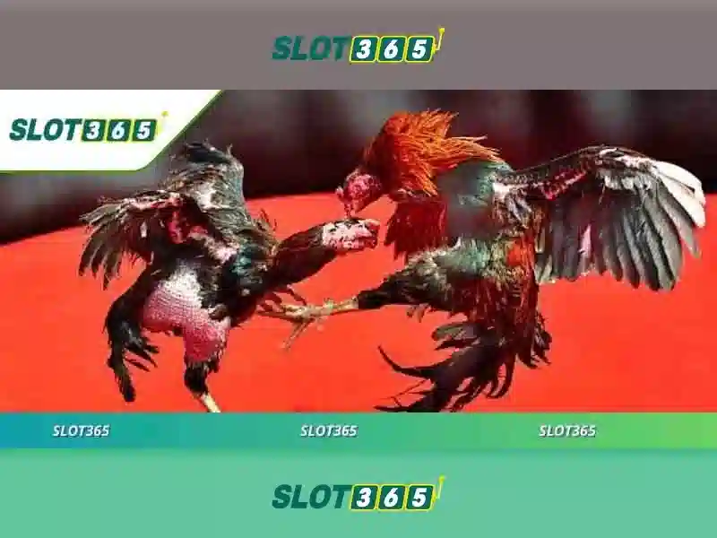 Slot365 là gì và tại sao nó nổi bật