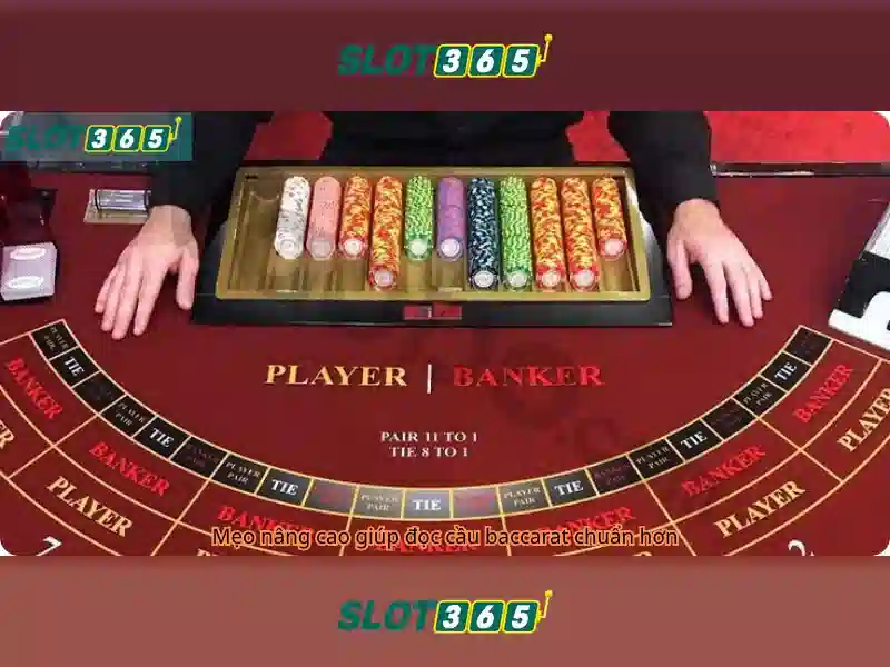Slot365: Nền tảng chơi slot trực tuyến