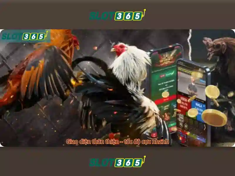 Slot365 - Nền tảng Slot và Trò chơi Trực tuyến