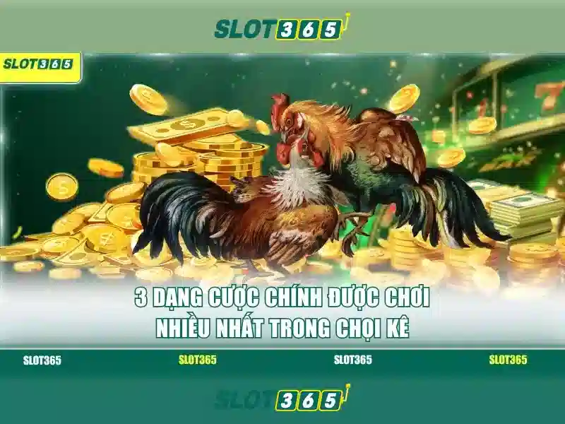 Slot365 là gì và những điểm nổi bật của nó