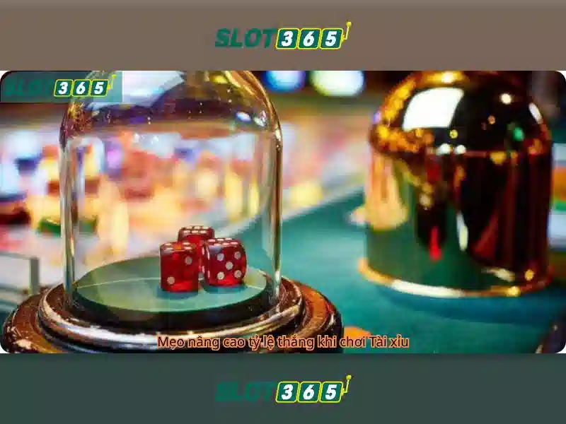 Slot365 - Tổng quan về nền tảng slot trực tuyến