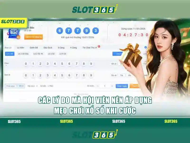 Giới thiệu về Slot365