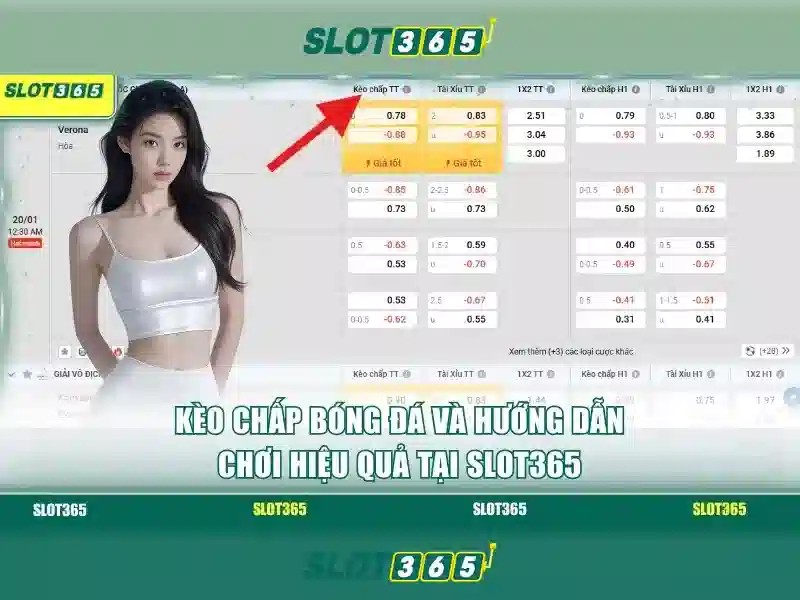 Hệ thống thanh toán an toàn và hỗ trợ khách hàng