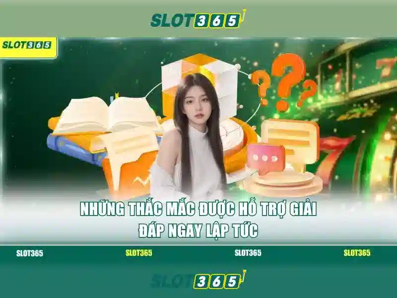 Hỗ trợ khách hàng và trải nghiệm người dùng