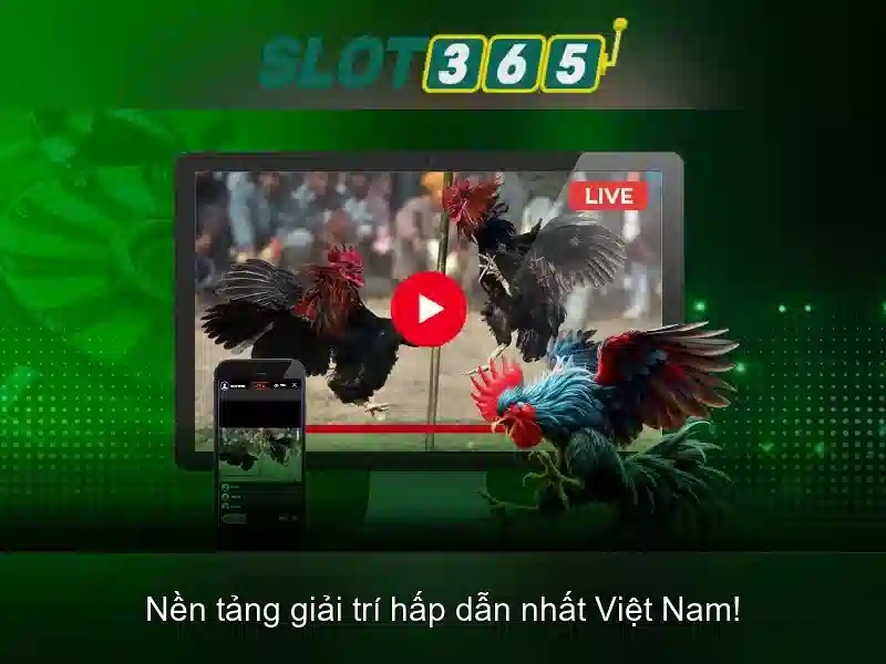 Slot365 là gì và vì sao được tin dùng
