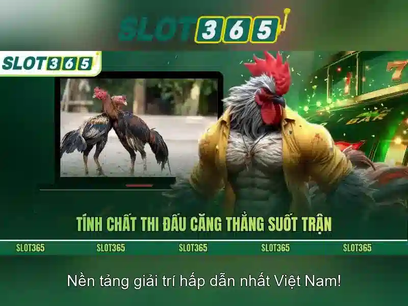 Slot365 - Nền tảng casino trực tuyến