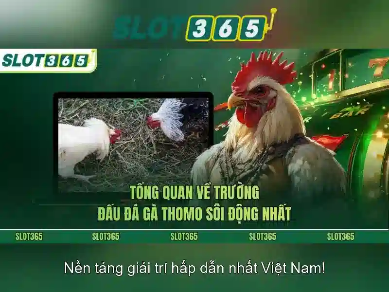 Slot365 là nền tảng chơi xèng trực tuyến phổ biến
