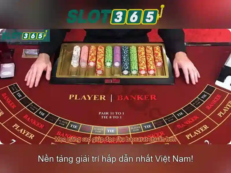 Slot365 - Khám phá nền tảng cá cược trực tuyến uy tín