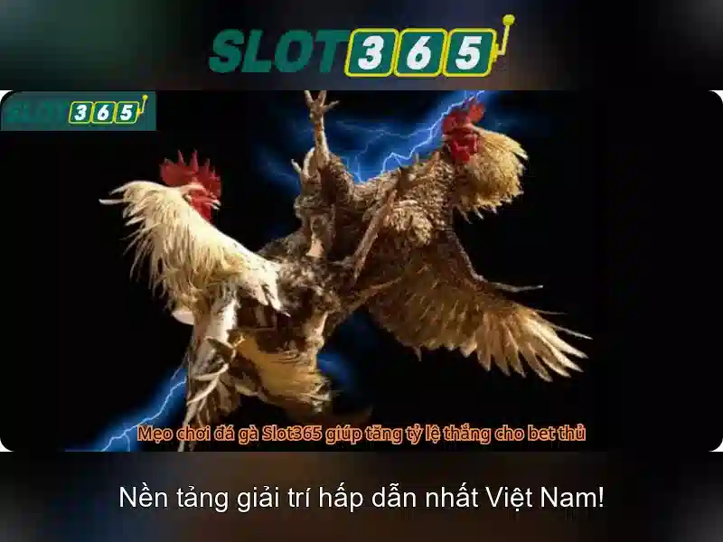 Slot365: Tổng quan về nền tảng trò chơi đánh bạc trực tuyến