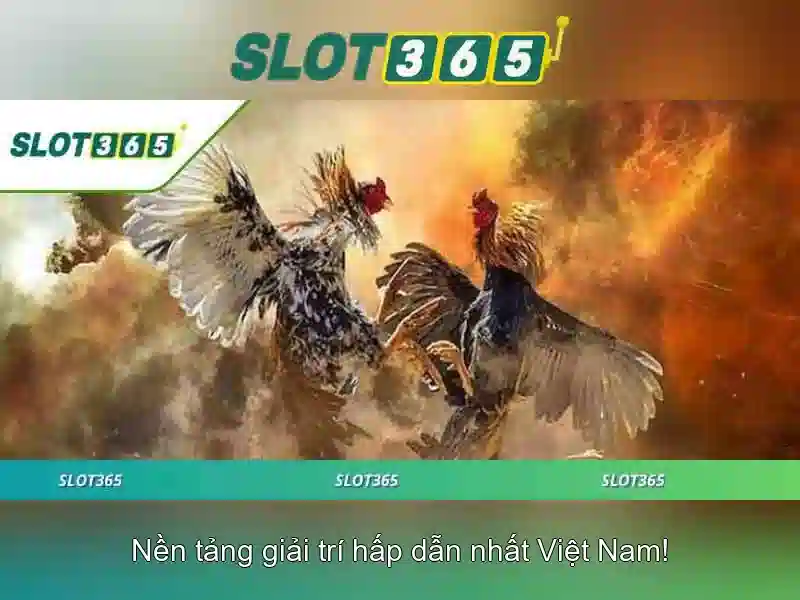 Giao diện và trải nghiệm người dùng