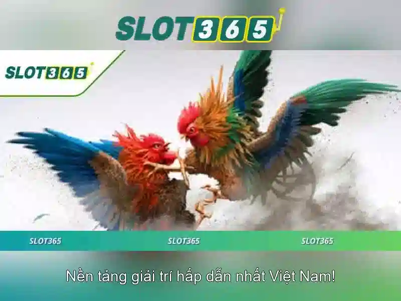 Slot365 – Địa chỉ đáng tin cậy cho trò chơi slots trực tuyến
