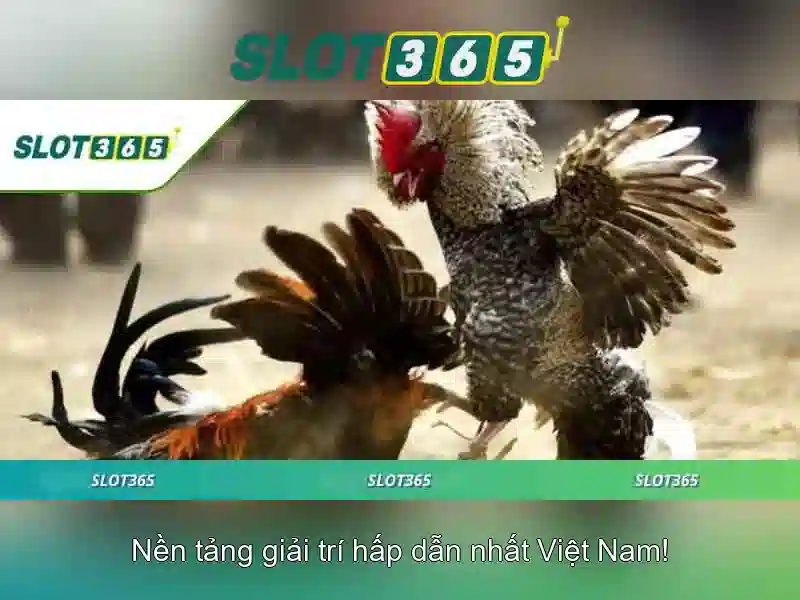 An toàn và bảo mật cho người chơi