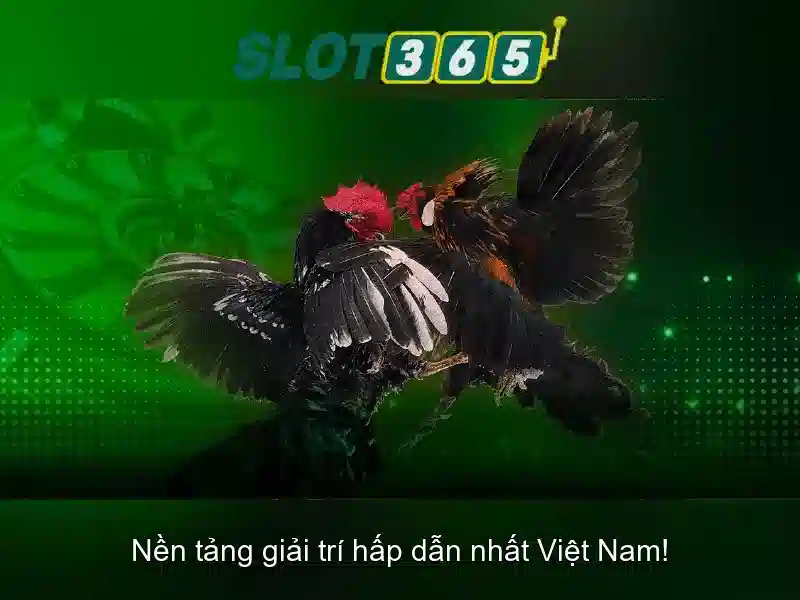 Slot365 - Trải nghiệm chơi slots trực tuyến hàng đầu