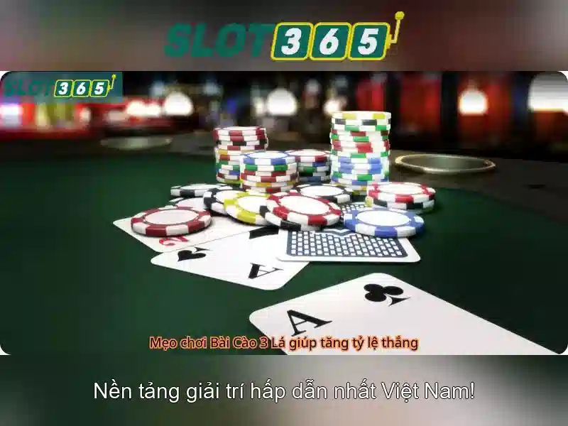Giao diện người dùng và trải nghiệm