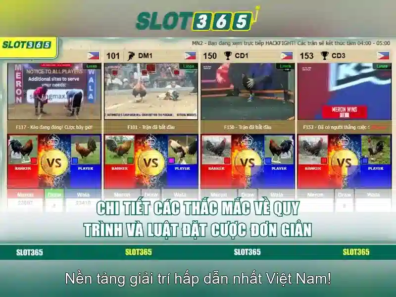 Slot365: Nền tảng trò chơi trực tuyến uy tín