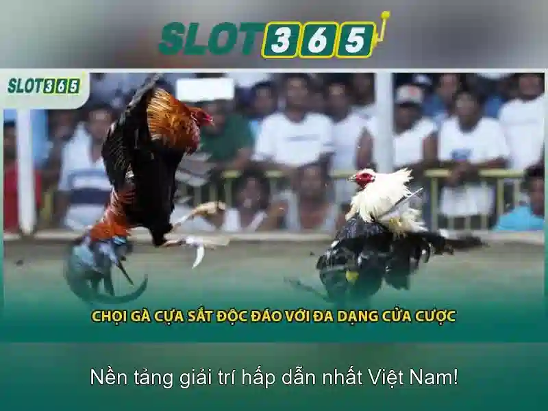 Slot365: Nền tảng đánh cược trực tuyến an toàn và tin cậy