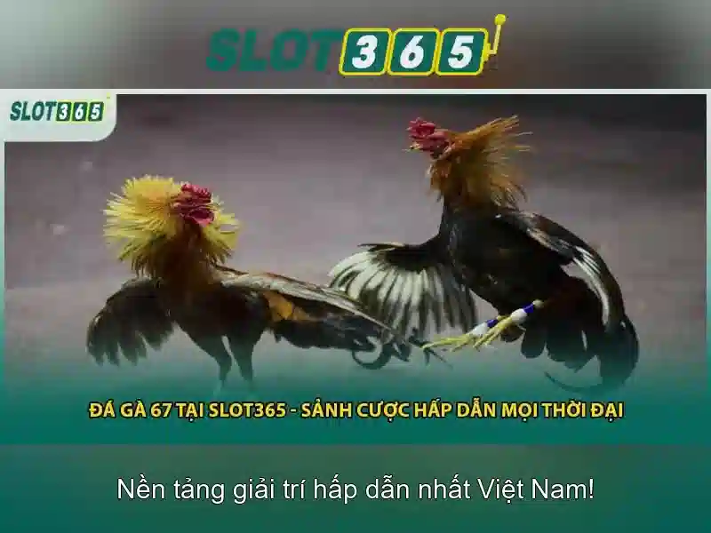 Slot365 - Giới thiệu nền tảng xèng trực tuyến