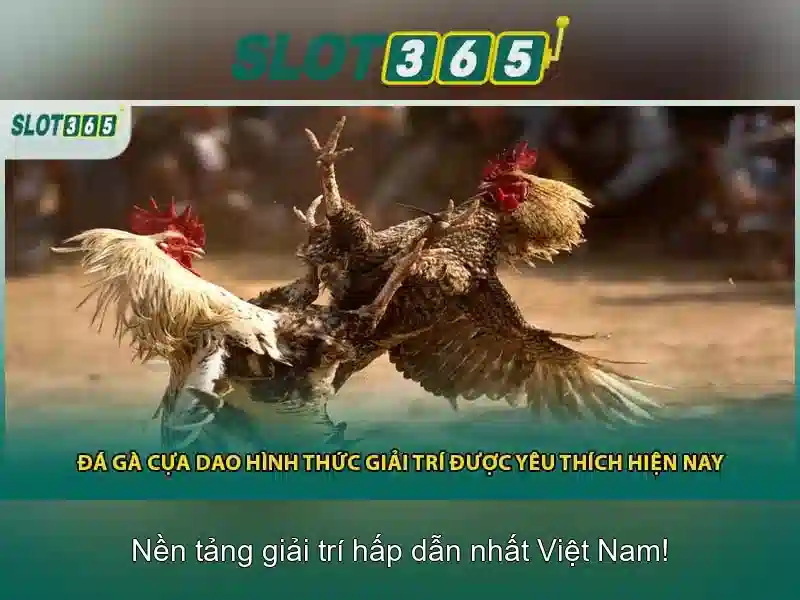 Slot365 là gì?