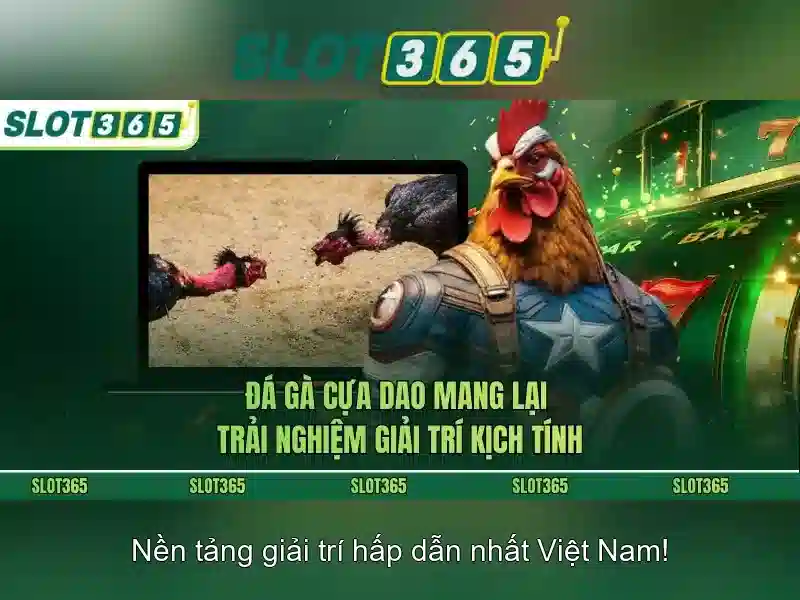 Độ tin cậy và an toàn tại Slot365