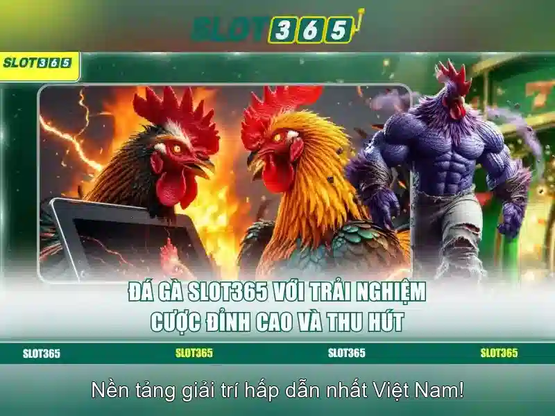 Lợi ích của Slot365 cho người chơi Việt