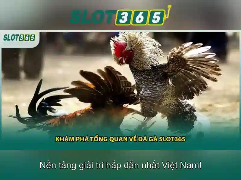 An toàn và bảo mật