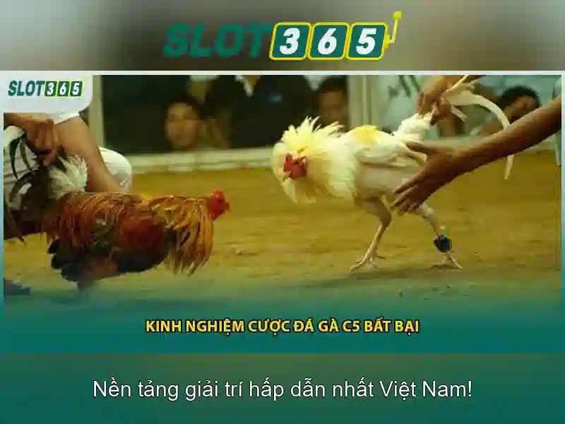 Slot365: Trải nghiệm casino trực tuyến đỉnh cao