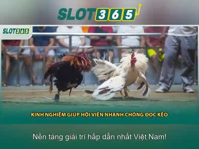 Giao diện người dùng và an toàn