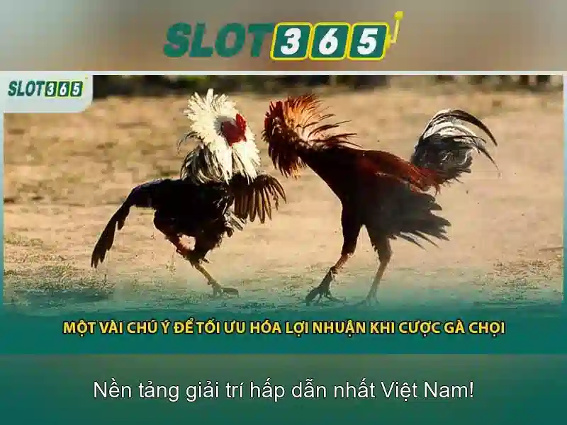 slot365: Khám phá nền tảng slot trực tuyến hàng đầu
