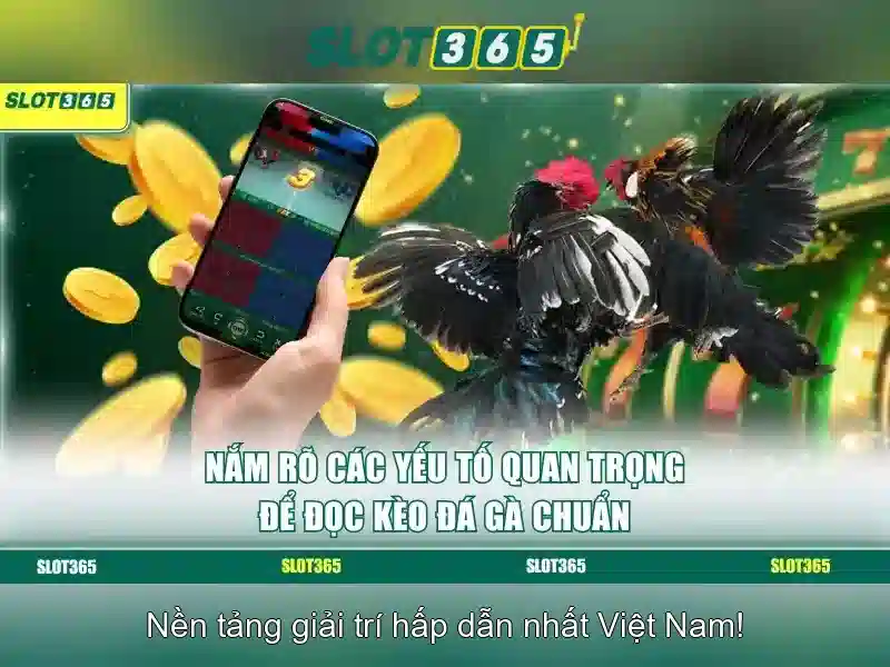 An toàn thanh toán và khuyến mãi